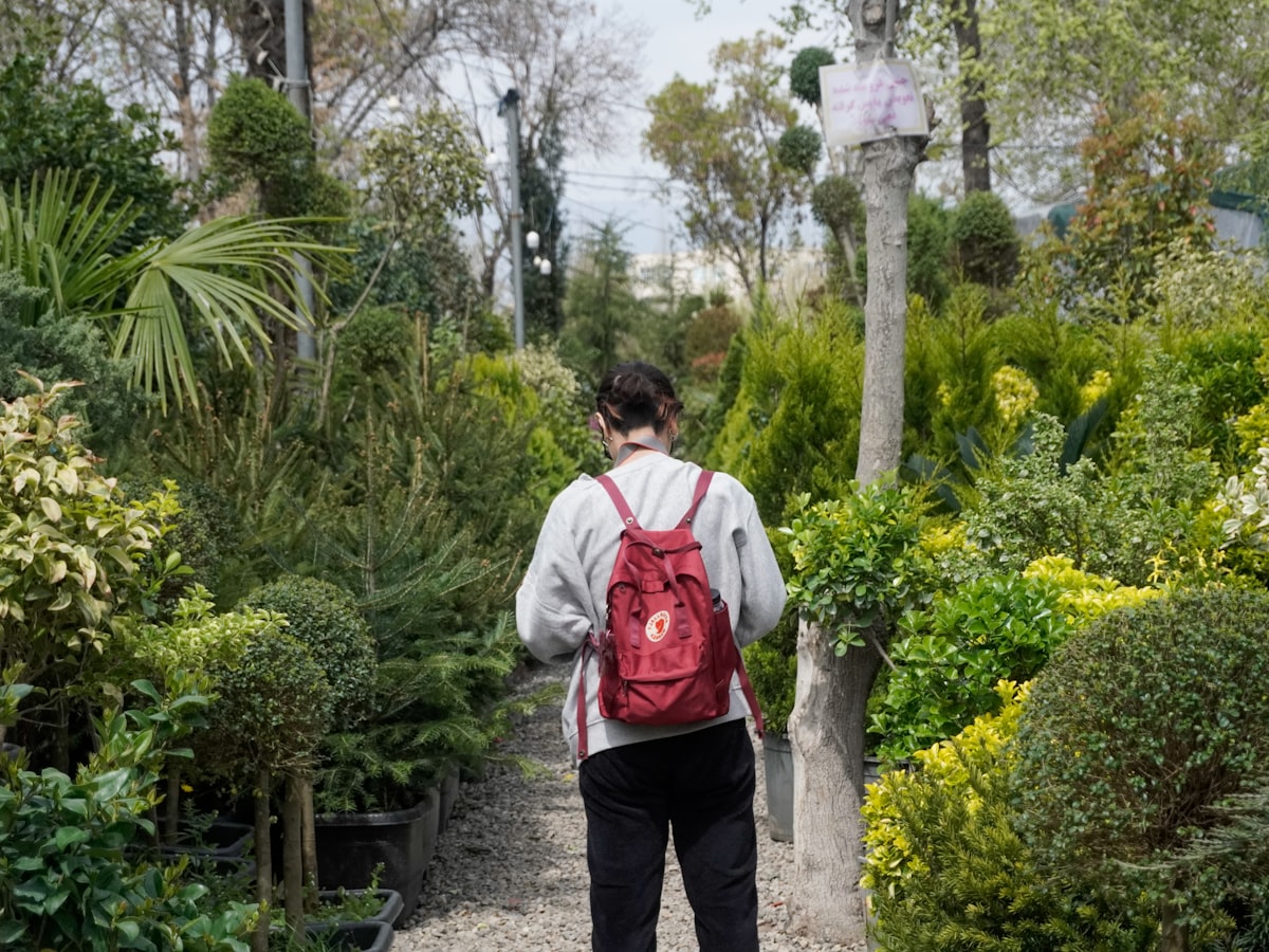 緑あふれる植物の苗床を歩く人